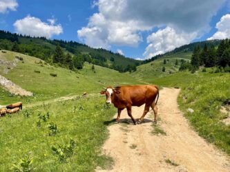 Kosovo, Accoursed Mountains