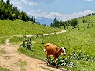 Kosovo, Accoursed Mountains