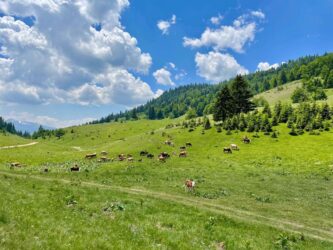 Kosovo, Accoursed Mountains