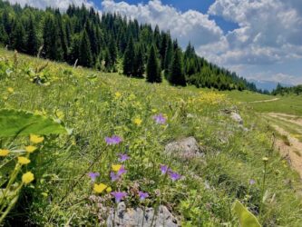 Kosovo, Accoursed Mountains