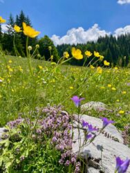 Kosovo, Accoursed Mountains