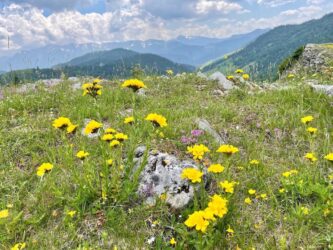 Kosovo, Accoursed Mountains