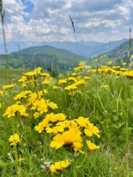 Kosovo, Accoursed Mountains