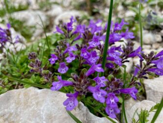 Montenegro, Durmitor National Park - Savin Kuk