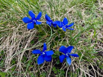 Montenegro, Durmitor National Park - Savin Kuk