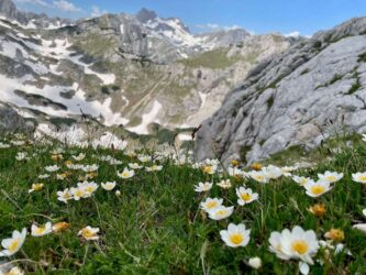 Montenegro, Durmitor National Park - Savin Kuk