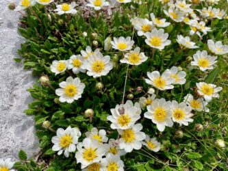 Montenegro, Durmitor National Park - Savin Kuk