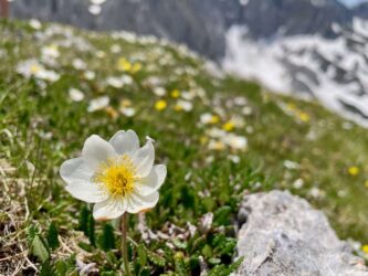 Montenegro, Durmitor National Park - Savin Kuk