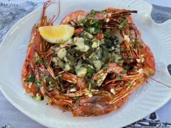 Montenegro - Shrimps