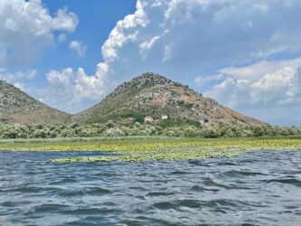 Montenegro, National Park Skadar Lake