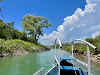 Montenegro, National Park Skadar Lake