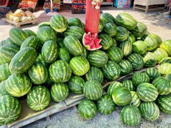 Albania - watermelon seller by the road