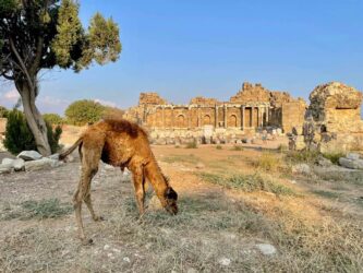 Turkey, Side - Ancient Ruins of Agora