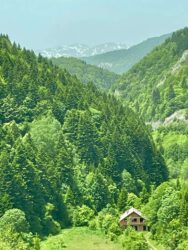 North Macedonia, Mavrovo - Mavrovo National Park