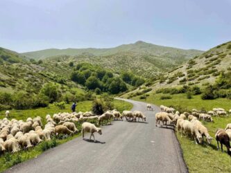 North Macedonia, Mavrovo - Mavrovo National Park