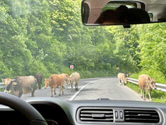 North Macedonia, Mavrovo National Park - On the Road