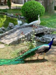 North Macedonia, Lake Ohrid - Monastery of Saint Naum