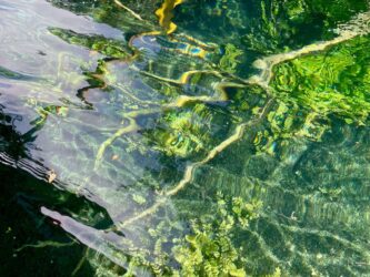 North Macedonia, National Park Galicica - Springs of St Naum