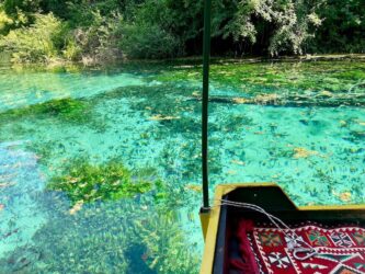 North Macedonia, National Park Galicica - Springs of St Naum