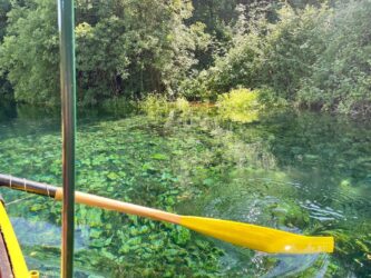North Macedonia, National Park Galicica - Springs of St Naum