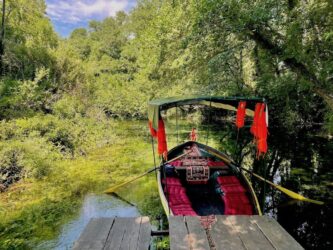North Macedonia, National Park Galicica - Springs of St Naum