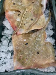 Croatia, Zadar - Fish at the market