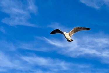 Croatia, Kornati National Park