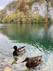 Croatia, Plitvice Lakes National Park