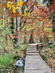 Croatia, Plitvice Lakes National Park