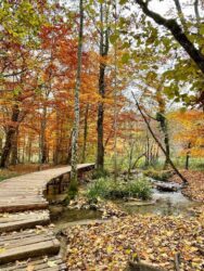 Croatia, Plitvice Lakes National Park