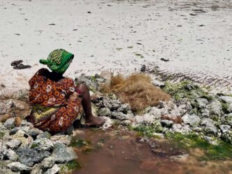 Tanzania, Zanzibar - Mtende Beach