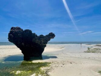 Tanzania, Zanzibar - Mtende Beach