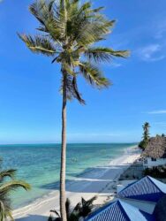 Tanzania, Zanzibar - Jambiani beach