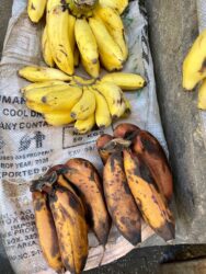 Tanzania, Zanzibar - Bananas