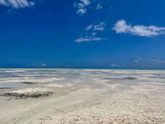 Tanzania, Zanzibar - Jambiani beach
