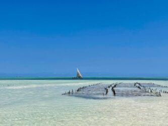 Tanzania, Zanzibar - Traditional Dhow