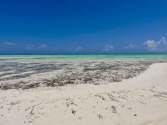 Tanzania, Zanzibar - Jambiani beach