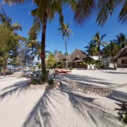 Tanzania, Zanzibar - Sunset bungalows