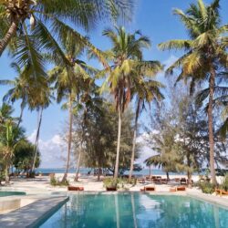Tanzania, Zanzibar - Sunset bungalows