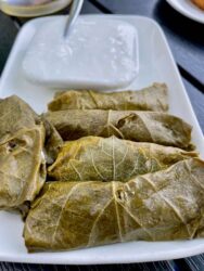 Georgia, Mtskheta - Dolma, stuffed grape leaves
