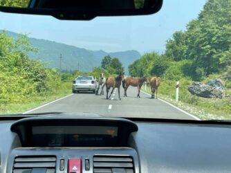 Georgia, Kutaisi - On the road