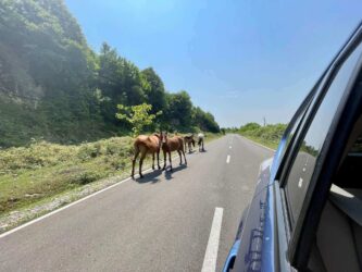Georgia, Kutaisi - On the road