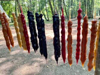 Georgia, Bangveti - Churchkhela, a traditional sausage-shaped candy