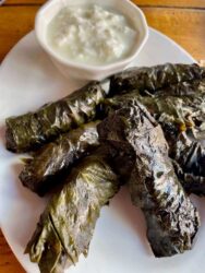 Georgia, Tbilisi - Dolma, stuffed grape leaves