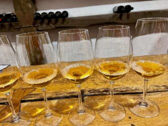 Georgia, Kvareli - Khareba Winery