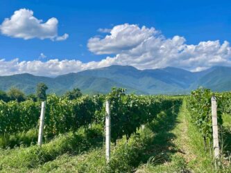 Georgia, Kvareli - Khareba Winery