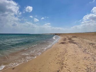 Egypt, Marsa Alam - Red Sea