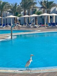 Egypt, Marsa Alam - The resort