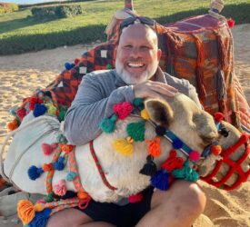 Egypt, Marsa Alam - Camel called Mickey Mouse