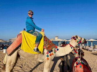 Egypt, Marsa Alam - Camel called Adam